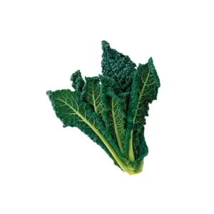 Cavolo Nero fresco con foglie scure