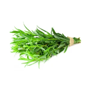 Erba di Dragoncello fresca