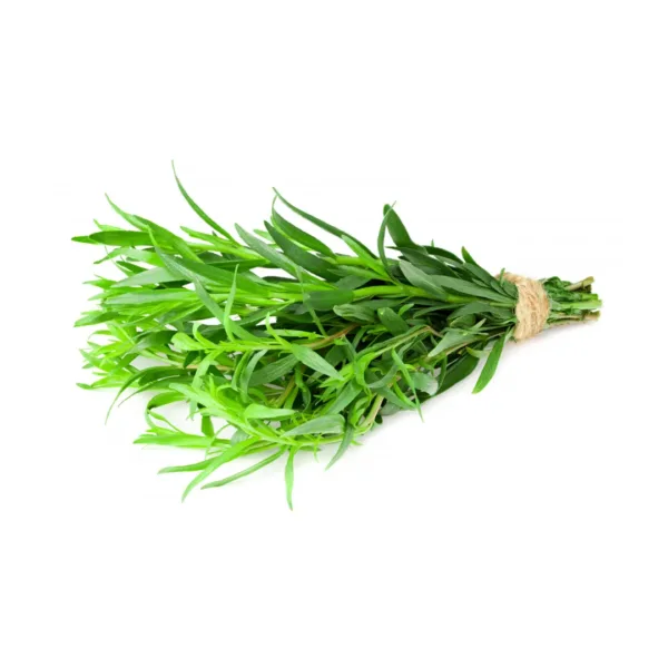 Erba di Dragoncello fresca