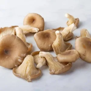 Funghi orecchione freschi, ideali per piatti vegetariani e grigliate.