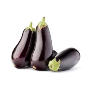 Melanzana Viola Globosa fresca