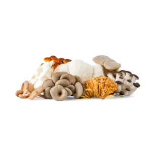 Funghi misti freschi, selezione di porcini, champignon e finferli.