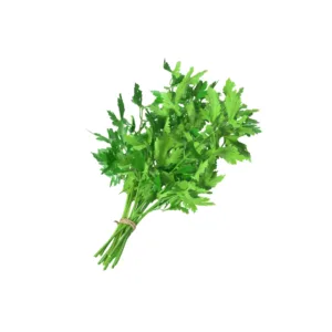 Prezzemolo fresco e aromatico