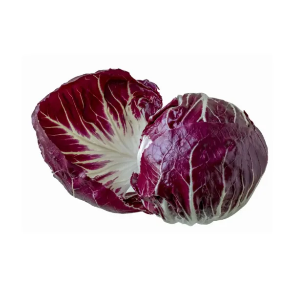 Radicchio Tondo fresco