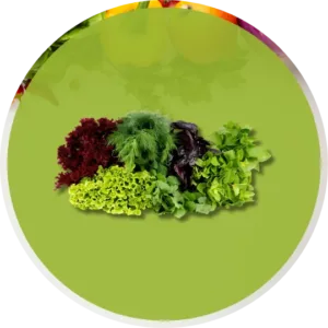 Verdure a Foglia