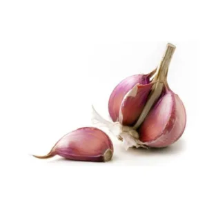 Aglio rosso fresco