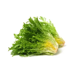 Indivia Riccia fresca