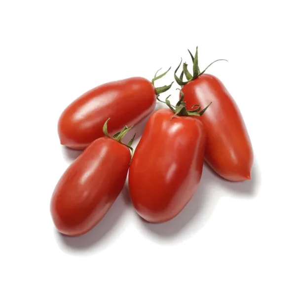 Pomodoro San Marzano fresco