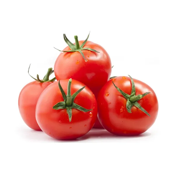 Pomodoro Tondo Liscio fresco