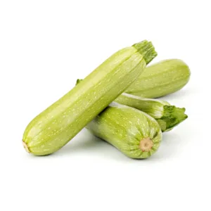 Zucchina Chiara fresca